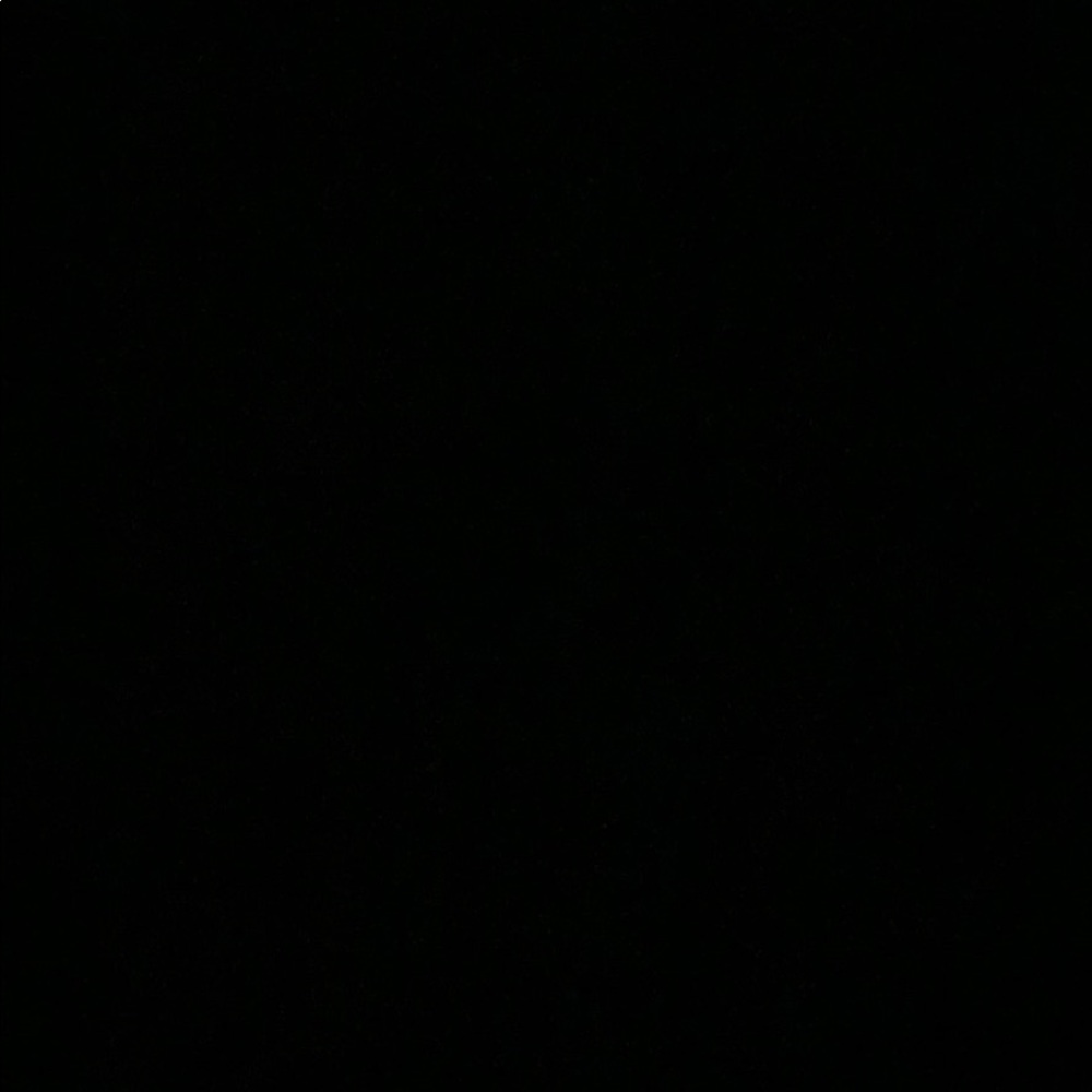 Meet your Posher, Larese